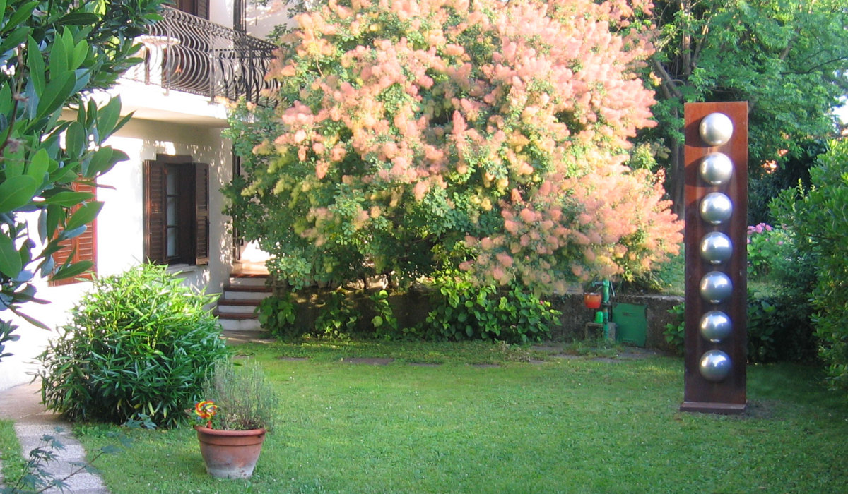 fotogrammi3